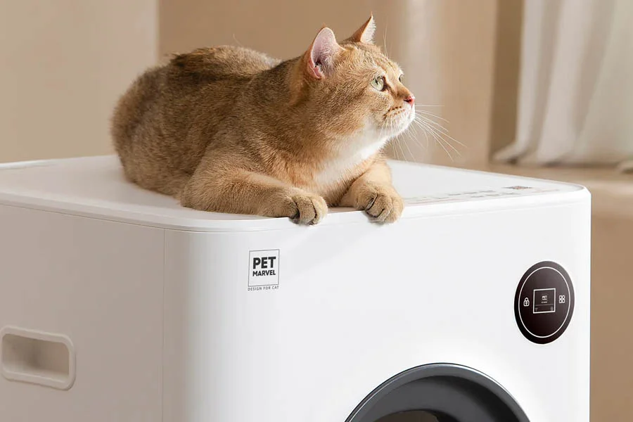 large litter box for multiple cats